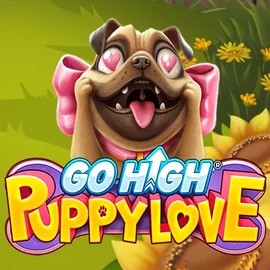 Play the Go High Puppy Love slot by RubyPlay on BroWinner Casino