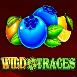 Wild Traces slot logo by Amusnet Interactive at BroWinner Casino
